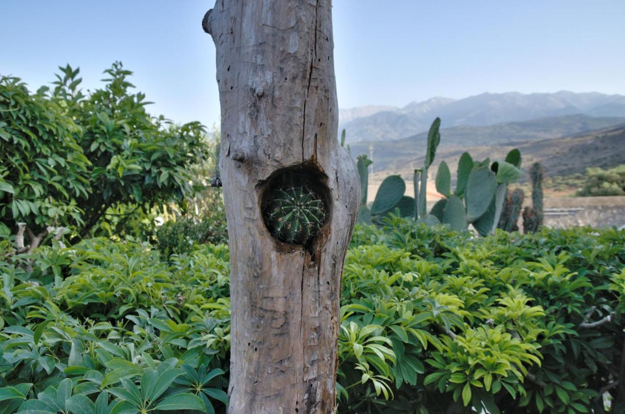 Villa Athina Megala Chorafia Esterno foto